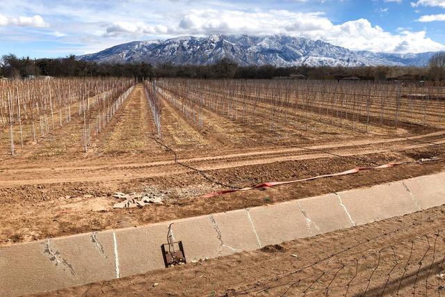 Empty irrigation canal at a tree farm in Corrales, N.M., with the Sandia Mountains in the background